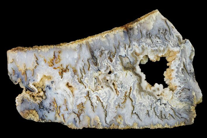 Graveyard Plume Agate Slab - Eastern Oregon #150518